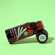 Plant Therapy Hair Growth Essential Oil Blend Hair & Skin Care