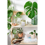 Butter Me Up Organics Hair & Nail Mask for long hair growth and healthy nails Hair