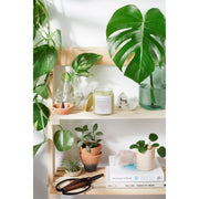 Butter Me Up Organics Hair & Nail Mask for long hair growth and healthy nails Hair