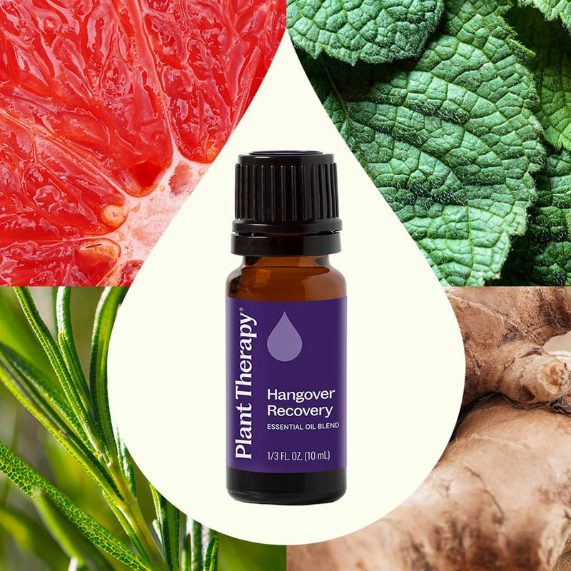 Plant Therapy Hangover Recovery Essential Oil Blend 10mL Essential Oil