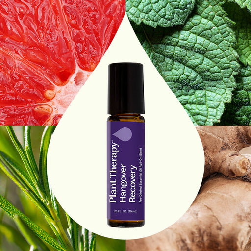 Plant Therapy Hangover Recovery Pre-Diluted Roll-On Essential Oil
