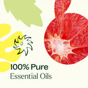 Plant Therapy Hangover Recovery Essential Oil Blend 10mL Essential Oil