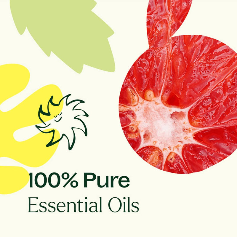 Plant Therapy Hangover Recovery Essential Oil Blend 10mL Essential Oil