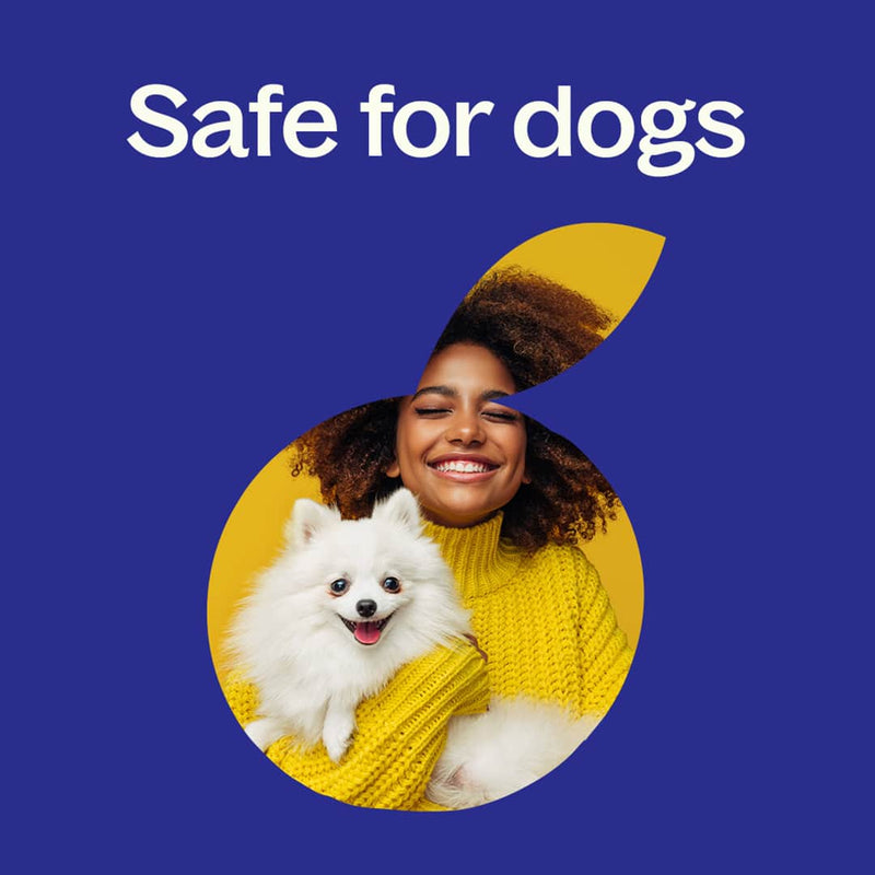 Plant Therapy Hangover Recovery Essential Oil Blend 10mL Essential Oil