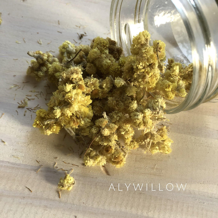 Alywillow Helichrysum Flower Dried Herb