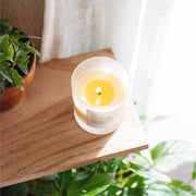 Slow North Hello Sunshine - Signature Candle (Grapefruit + Geranium + Lime) Frosted Candles