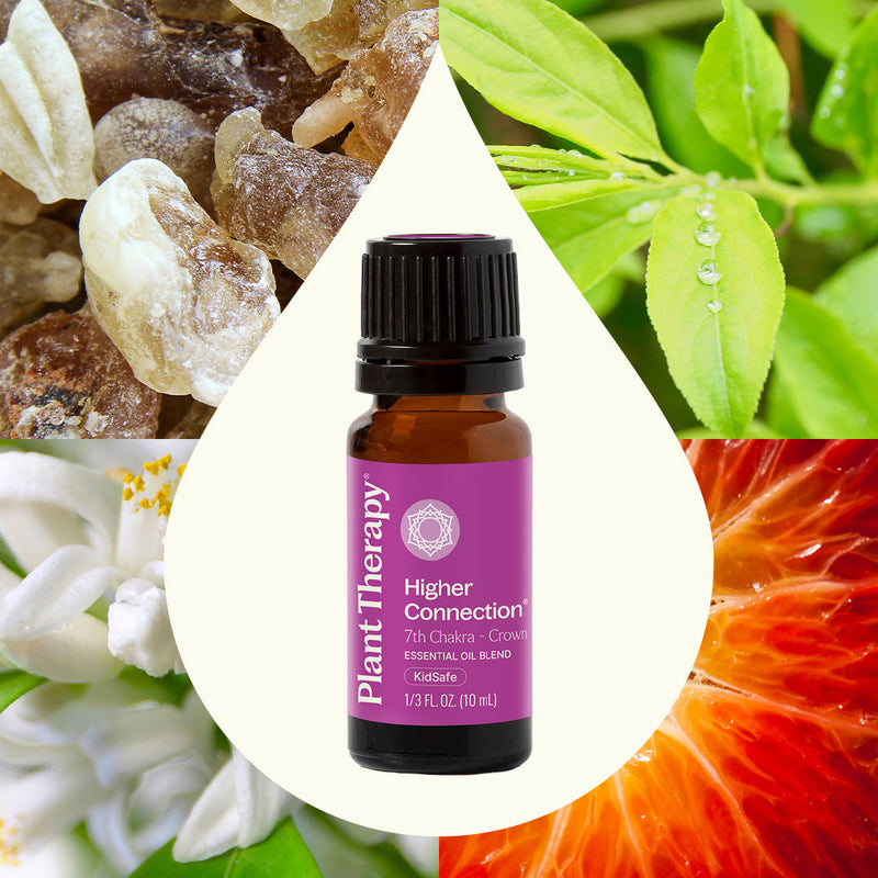 Plant Therapy Higher Connection (Crown Chakra) Essential Oil Essential Oil