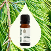 Plant Therapy Himalayan Cedarwood Essential Oil Essential Oil