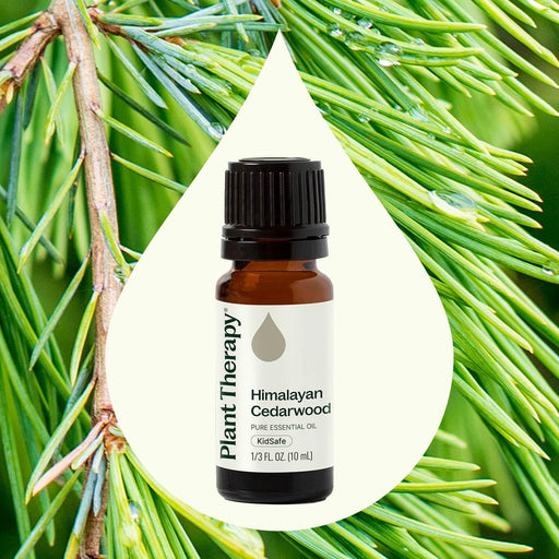 Plant Therapy Himalayan Cedarwood Essential Oil Essential Oil