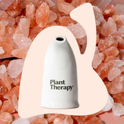Plant Therapy Himalayan Salt Inhaler Diffuser