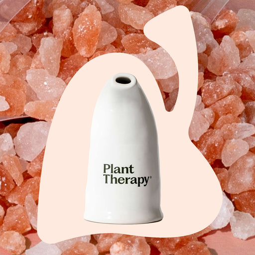 Plant Therapy Himalayan Salt Inhaler Diffuser