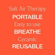 Plant Therapy Himalayan Salt Inhaler Diffuser