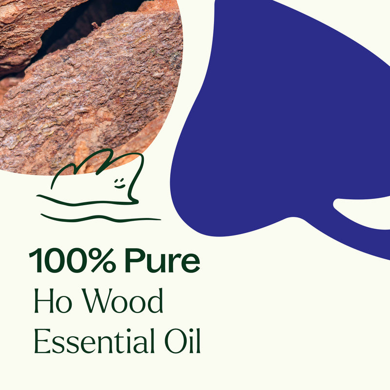 Plant Therapy Ho Wood Essential Oil Essential Oil