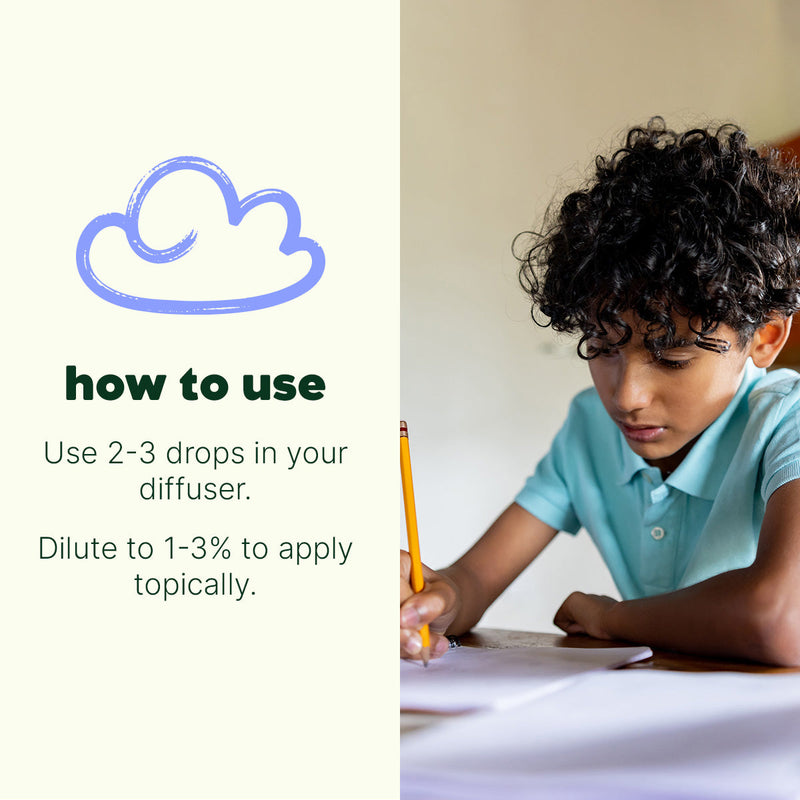 Plant Therapy Hocus Focus Essential Oil Blend Essential Oil