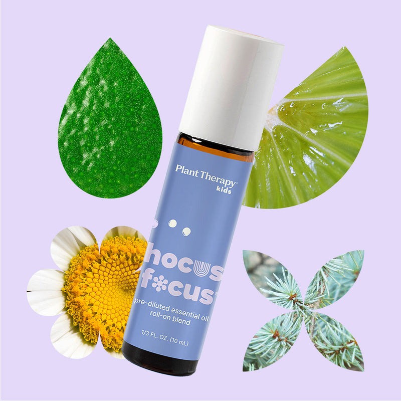 Plant Therapy Hocus Focus Essential Oil Blend Pre-Diluted Roll-On Essential Oil Lavender 10 mL