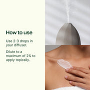 Plant Therapy Holiday Season Essential Oil Blend Essential Oil