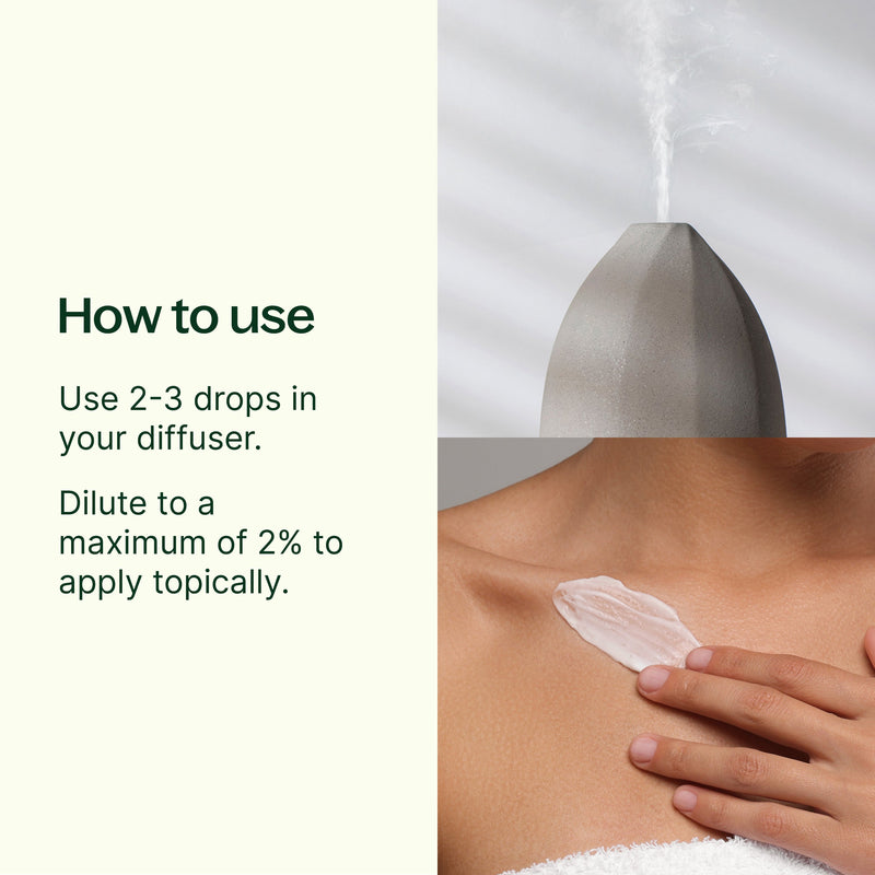 Plant Therapy Holiday Season Essential Oil Blend Essential Oil