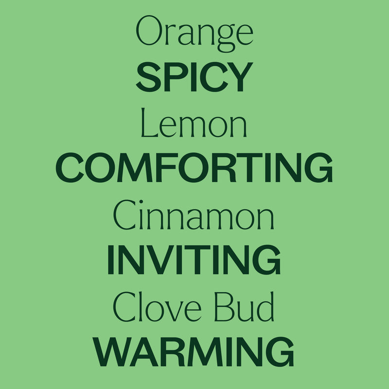 Plant Therapy Holiday Season Essential Oil Blend Essential Oil