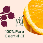 Plant Therapy Holiday Season Essential Oil Blend Essential Oil