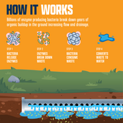 EcoStrong Leach and Drain Field Blast Drain & Septic > Septic System Problems