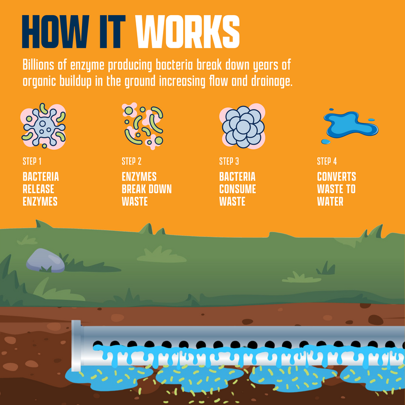 EcoStrong Leach and Drain Field Blast Drain & Septic > Septic System Problems