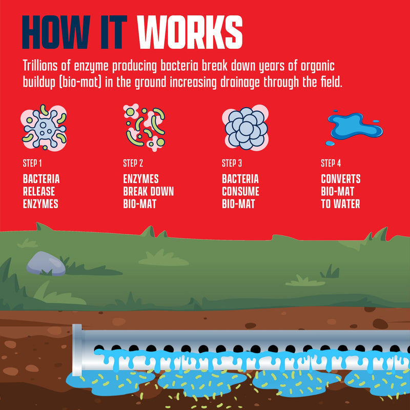 EcoStrong Septic Liberator Drain & Septic > Septic System Emergencies
