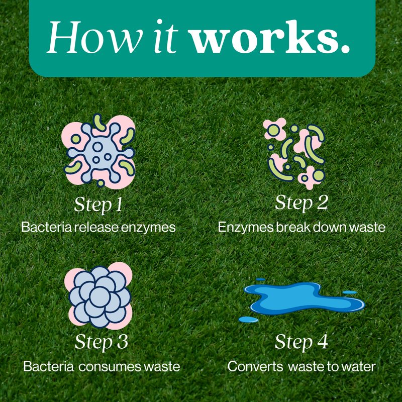 EcoStrong Outdoor Odor Eliminator Pet & Animal > Outdoor Odor Dark Green 1 Gallon Jug and Multi Use Sprayer,1 Gallon Jug,32 oz Sprayer Bottle and 1 Gallon Refill,32 oz Sprayer Bottle,10 x 2 oz Shots and Sprayer Bottle,5 Gallon Pail