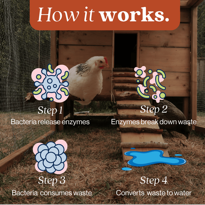 EcoStrong Chicken Coop Odor Eliminator Pet & Animal > Chicken Coop Odor