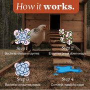 EcoStrong Chicken Coop Odor Eliminator Pet & Animal > Chicken Coop Odor