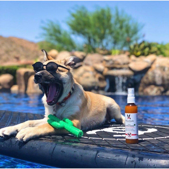 Warren London - Warren London - Dog Sunscreen With Aloe Vera Moisturizer