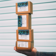 SHEAR REVIVAL Range Shampoo + Body Bar