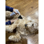 Warren London Dog De-matting and Detangler Spray - Leave-In Conditioner Spa Product