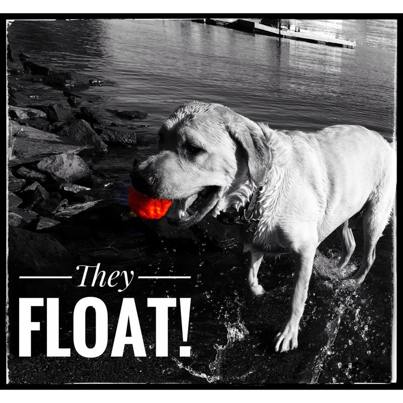 WACKYstore WUNDERball - Best Fetch Toy