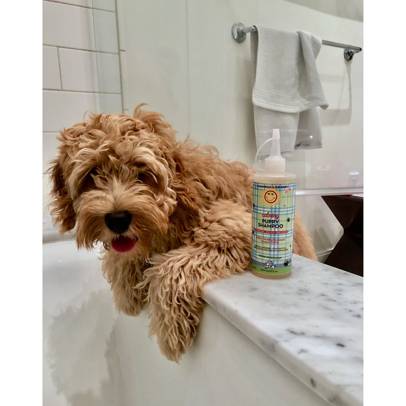 California Baby Calming™ Puppy + Dog Wash Fur Baby
