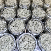 MION Artisan Soap Co. Lemongrass Spirulina Sugar Scrub | Medium