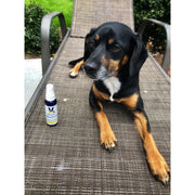 Warren London Wet Kiss Dog Cologne By Warren London - 2 Oz or 16 Oz Spa Product