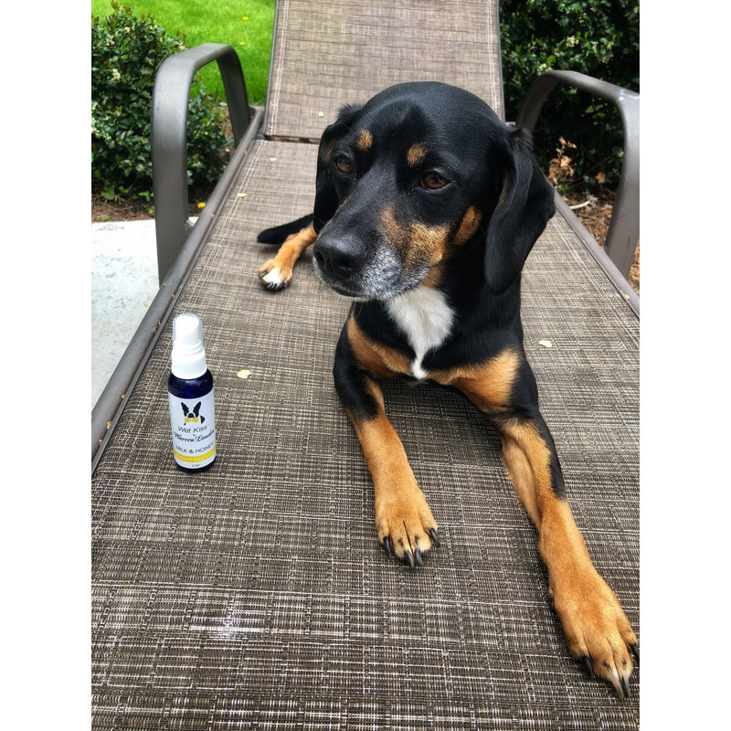 Warren London Wet Kiss Dog Cologne By Warren London - 2 Oz or 16 Oz Spa Product