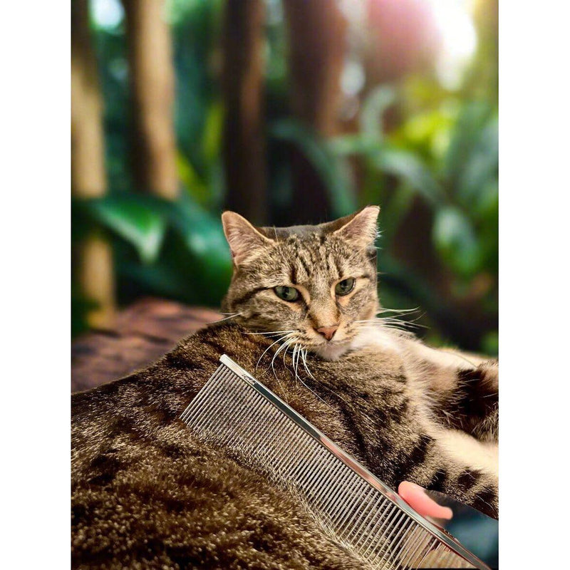 Warren London Cool Cat Comb Pet Combs & Brushes
