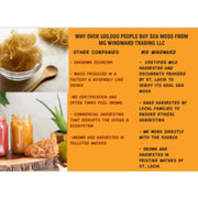 MG Windward Trading LLC Pure Certified Wild Harvested Full Spectrum Organic Raw Sea Moss Raw Sea Moss