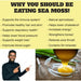 Benefits of Sea Moss