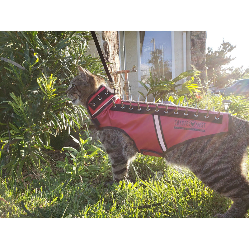 CoyoteVest SpikeVest for Cats Vest