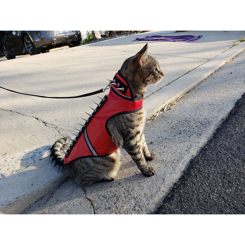 CoyoteVest SpikeVest for Cats Vest
