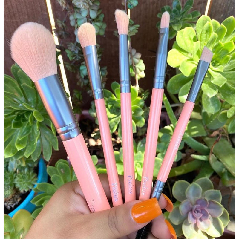 Prolux Cosmetics Ultra Pastel Brush Set brush