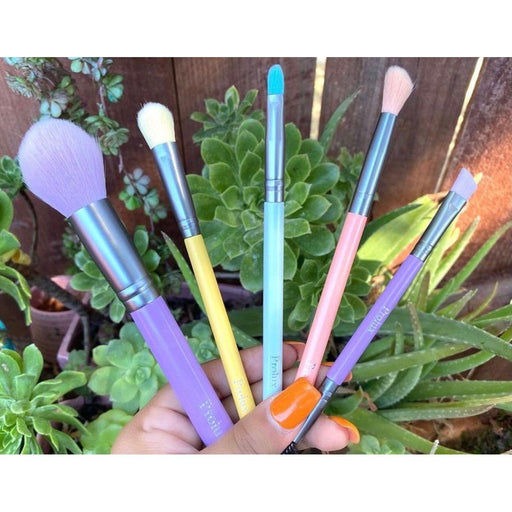 Prolux Cosmetics Ultra Pastel Brush Set brush
