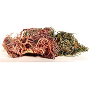 MG Windward Trading LLC Pure Certified Wild Harvested Full Spectrum Organic Raw Sea Moss Raw Sea Moss