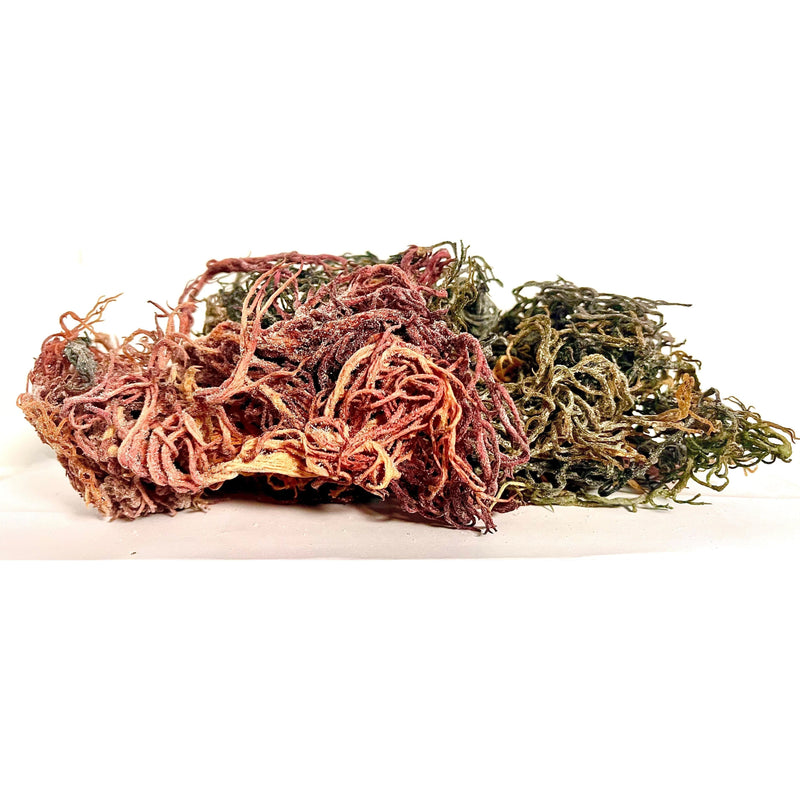 MG Windward Trading LLC Pure Certified Wild Harvested Full Spectrum Organic Raw Sea Moss Raw Sea Moss