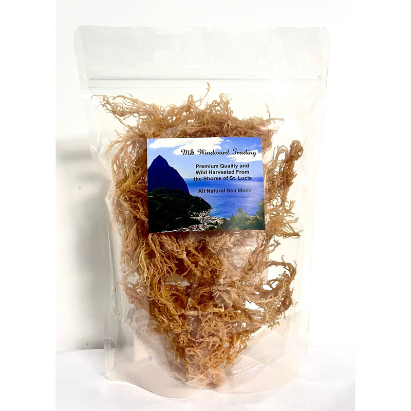 MG Windward Trading LLC Certified Pure Wild Harvested Organic Gold Raw Sea Moss Raw Sea Moss