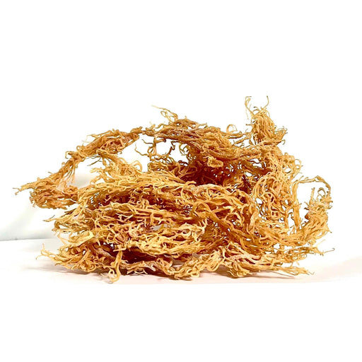 MG Windward Trading LLC Certified Pure Wild Harvested Organic Gold Raw Sea Moss Raw Sea Moss