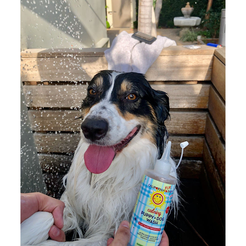 California Baby Calming™ Puppy + Dog Wash Fur Baby