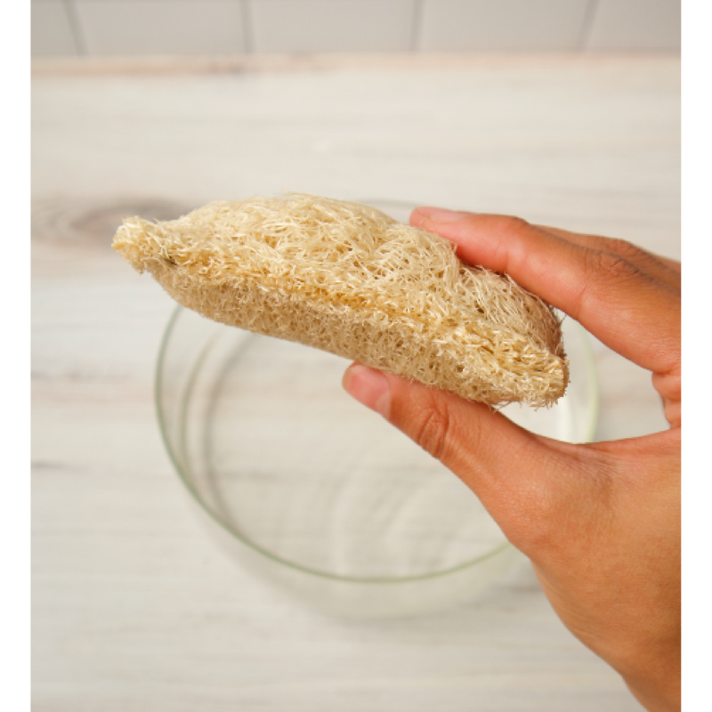 Love of Earth Co. Loofah Dish Sponges